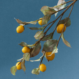 40" Lemon Branch